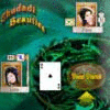 Chudadi Beauties Spiel