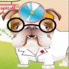 Dr.Bulldog's Pets Hospital Spiel