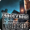 Enigmatis: The Ghosts of Maple Creek Spiel