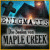 Enigmatis: Die Seelen von Maple Creek Spiel