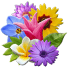 Flowery Vale Spiel