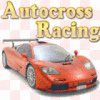 Autocross Racing Spiel