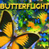 Butterflight Spiel