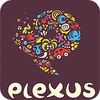 Plexus Puzzles: Rebuild the Earth Spiel
