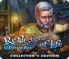 Reflections of Life: Die Traumtruhe Sammleredition Spiel