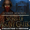 Cursed Memories: Das Geheimnis von Agony Creek Sammleredition game