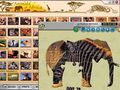 Kostenloser Download Animals of Africa Screenshot 2