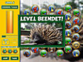 Free download Australia Zoo: Animal Links screenshot