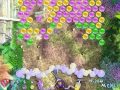 Kostenloser Download Bubble Bonanza Screenshot 3