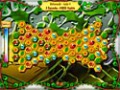 Kostenloser Download BumbleBee Jewel Screenshot 3