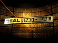 Kostenloser Download Deal or No Deal Screenshot 1