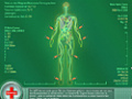 Free download Elizabeth Find MD: Diagnosis Mystery screenshot