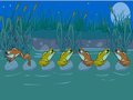 Kostenloser Download Frog Tag Screenshot 1
