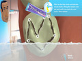 Kostenloser Download Glenn Martin, DDS: Dental Adventure Screenshot 3