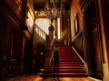 Kostenloser Download Gray Matter Screenshot 3