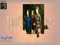 Kostenloser Download Harry Potter: Puzzled Harry Screenshot 3