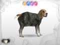 Kostenloser Download Harry Potter: Transfiguration Screenshot 3