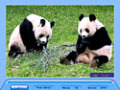 Free download Jig Swap Puzzle screenshot