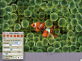 Kostenloser Download Jigsaws Galore Screenshot 3