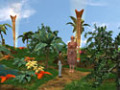 Free download Der verborgene Kontinent screenshot