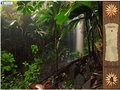 Kostenloser Download Lost Island Adventure Screenshot 2