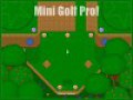 Kostenloser Download Mini Golf Pro Screenshot 1