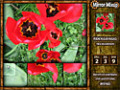 Kostenloser Download Mirror Mix-Up Screenshot 1