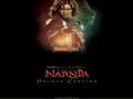 Kostenloser Download Narnia Games: Pinball Screenshot 1