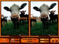 Kostenloser Download Picture Pyramid Screenshot 3