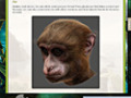 Kostenloser Download Return to Mysterious Island 2: Mina's Fate Strategy Guide Screenshot 2