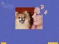 Kostenloser Download Super Jigsaw Puppies Screenshot 1