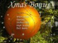 Free download Xmas Bonus screenshot