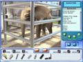 Kostenloser Download Zoo Vet 2: Endangered Animals Screenshot 1