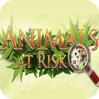 Animals At Risk Spiel