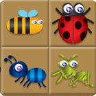 Bug Box Spiel