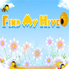 Find My Hive Spiel