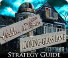 Hidden in Time: Looking-glass Lane Strategy Guide Spiel