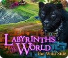 Labyrinths of the World: Die wilde Seite Spiel