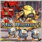 Mr. Robot Spiel