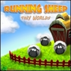 Running Sheep: Tiny Worlds Spiel