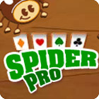 Spider Pro Spiel