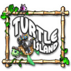 Turtle Island Spiel