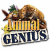 Animal Genius Spiel