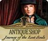 Antique Shop: Journey of the Lost Souls Spiel