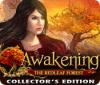 Awakening: Der Wald der roten Blätter Sammleredition Spiel