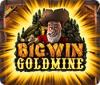 Big Win Goldmine Spiel