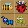 Bug Box Spiel