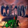 Colony Spiel
