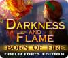Darkness and Flame: Das Feuer des Lebens Sammleredition Spiel