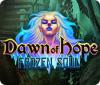 Dawn of Hope: Frozen Soul Spiel